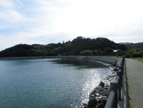 いがみ海浜公園　遊歩道の写真