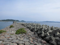 角島 尾山港 外波止の写真