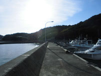 白潟漁港　左側の波止の写真