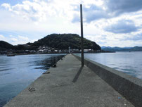 通漁港 波止の写真