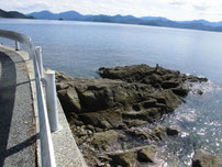 青海島　道路沿い　はこちらからどうぞ