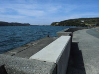 久津漁港 道路沿い岸壁