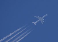 Combien de CO2 absorbe un arbre en comparaison d'un voyage en avion ?