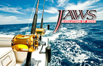 Jaws Rod Blanks Introduction