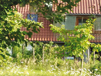 Das Seminar-Haus in Fischbeck versteckt hinter einer grünen Obstplantage