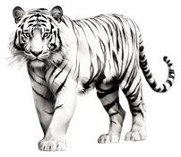 Tigre Feng Shui