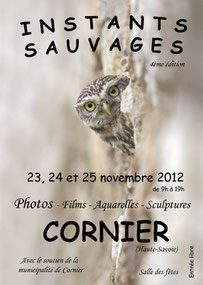 Affiche 2012