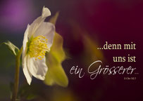Christliche Karten, Mirjam Dentler