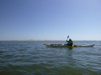 Sandbank im Watt