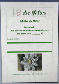 Gutschein Naturkosmetik-Kurs, Wildkräuter-Kochkurs