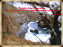 foto con verso 2 de Timoteo 3:1