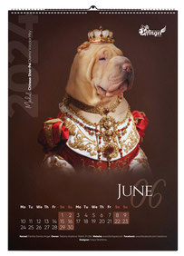 best calendars design, luxury calendars design, calendars with dogs, 2024, Ukraine, designer, Yuliya Strizhkina, Ukraine, PR & Design Studio LA BEAUTY, medieval, glamour, dogs, royal, Chinese Shar Pei