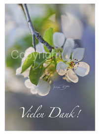 christliche Karten, Blüten wilde Birne, vielen Dank