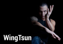 WingTsun