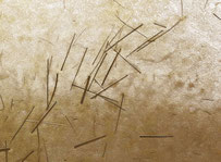 Écumes, papier, 2019-2020