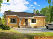 Blockhaus Bungalow für Zwei - Blockhaus Profi