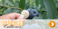 栽培品種　cultivars