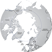 liste des animaux d'arctique par ordre alphabetique