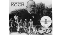 Bild: Fotomontage mit Robert Koch, Schlafkranken, Tsetsefliege und dem späteren Heilmittel Bayer 205, Quelle: Koloniales Bildarchiv, Universitätsbibliothek Frankfurt am Main, Bildnummer 042-0247-20.