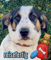 Foto von Apollo