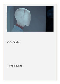 eifion evans artist - romanticism - welsh romantic art - venom chic