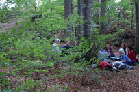 Kinder draussen im Wald