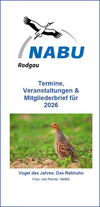 download pdf