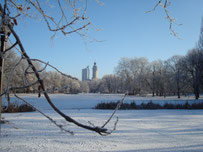 Leipzig im Winter Blick auf Johannanpark und Neues Rathaus