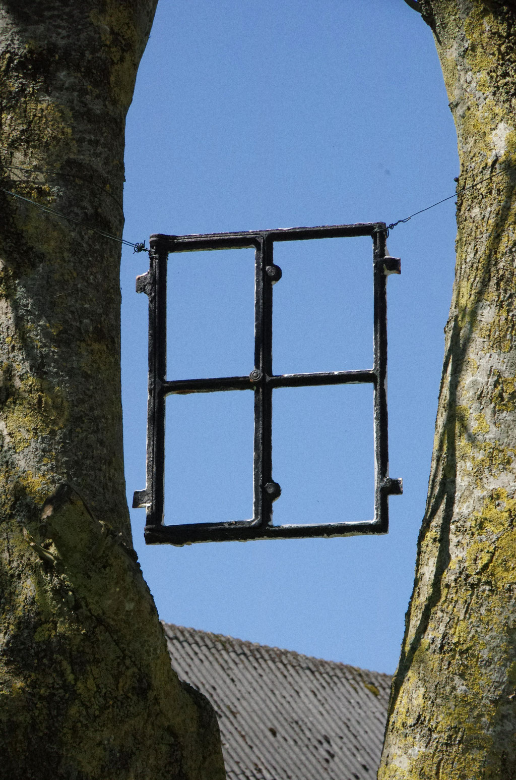 Windauge
