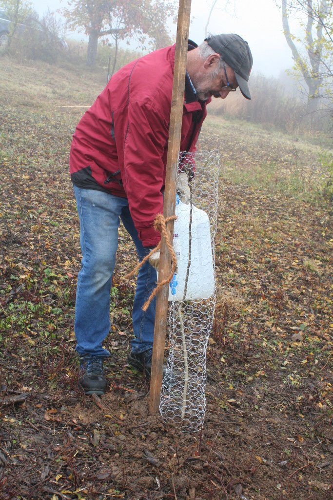 Der erste Walnussbaum auf dem Grundstück wurde an diesem Novembermorgen gepflanzt. Dieter Pfeiffer beim Angießen.