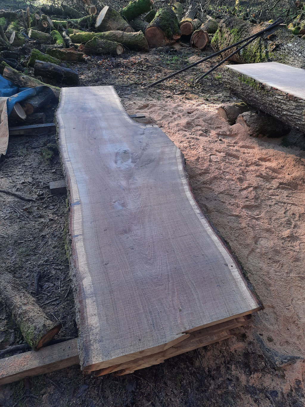 planche bois massif chene vendee
