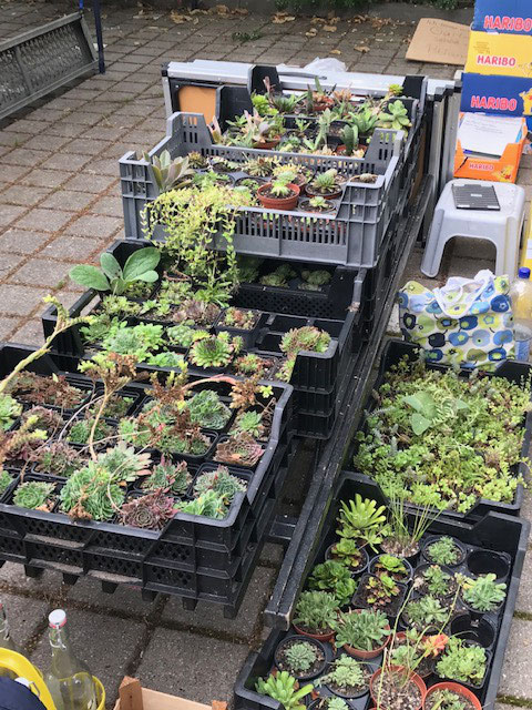 Gartenfreunde Hamburg E V Die Gartenbotschaft De Von Hilia Ute