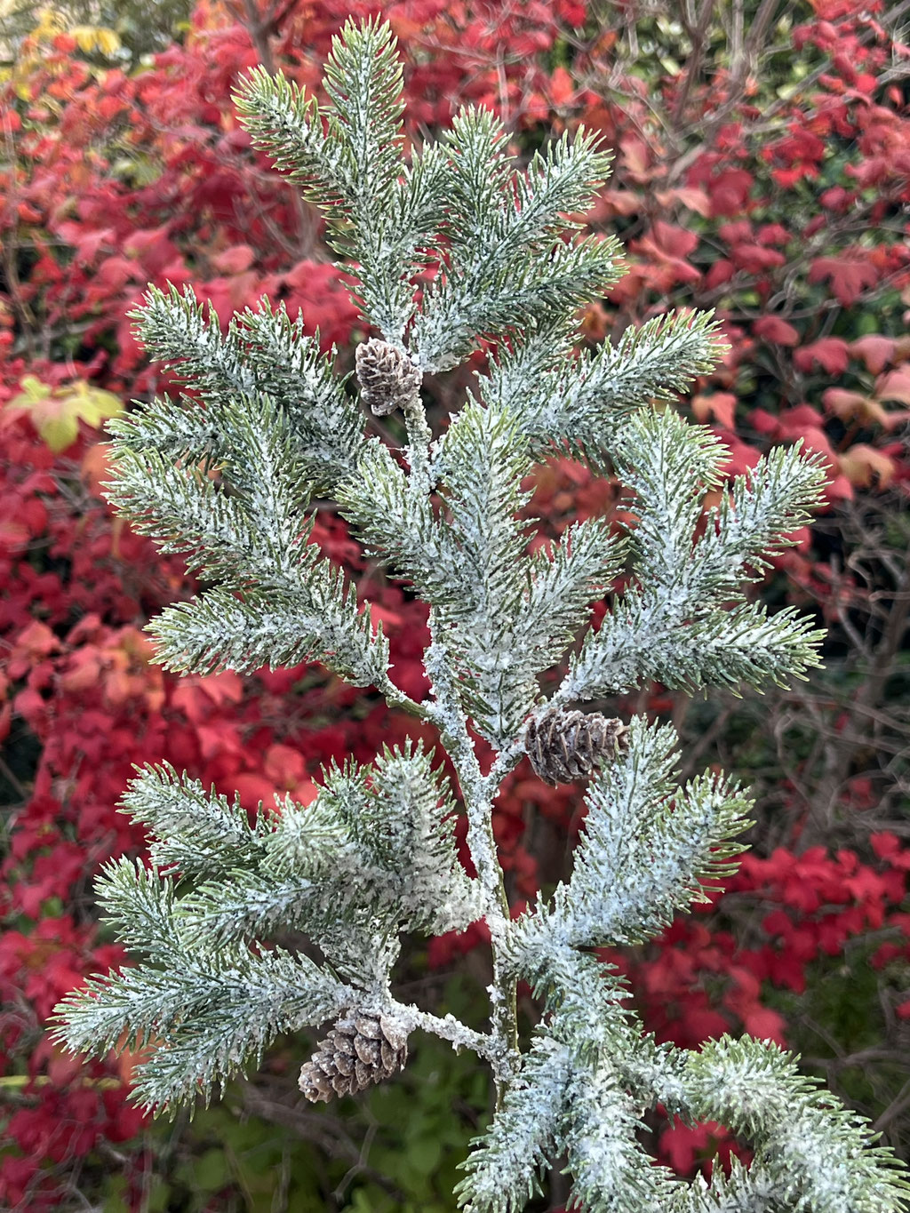 Branche de Sapin artificielle haut de gamme