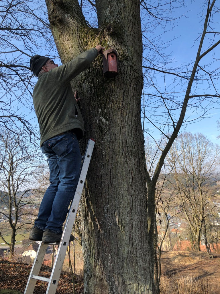 Genau 20 Nistkästen wurden aufgehängt.