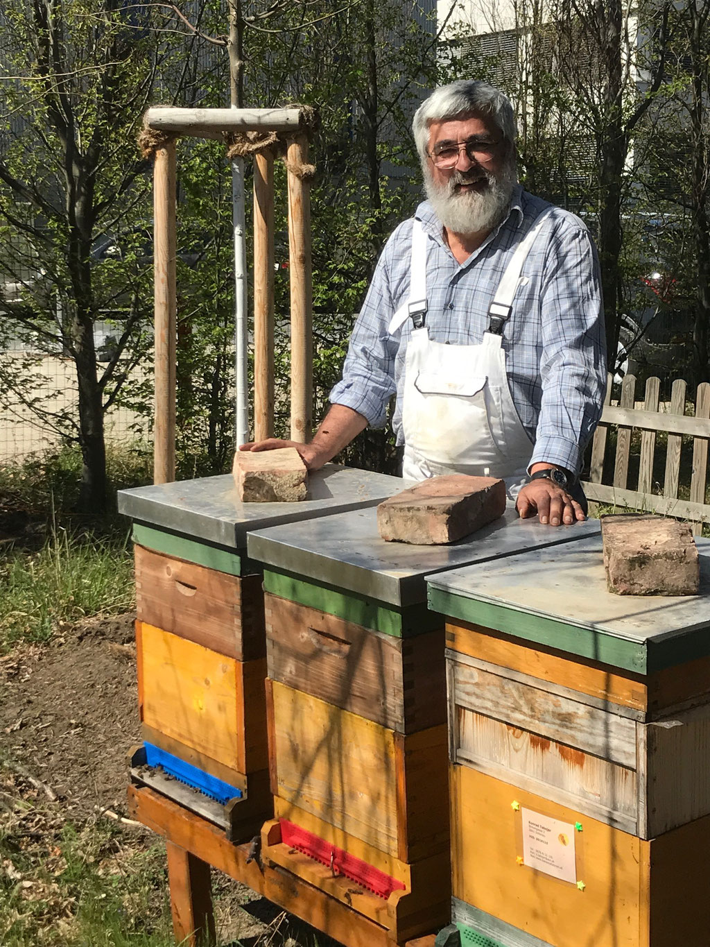 Mein Bienenstand in Wien 