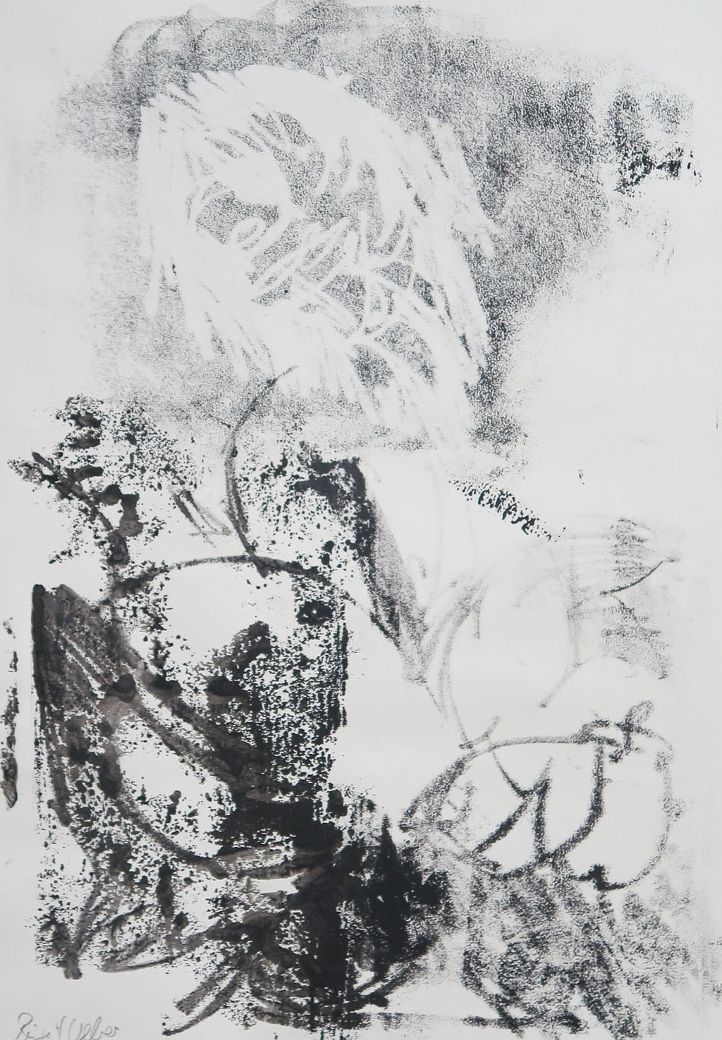 Knolle, 30 x 40 cm