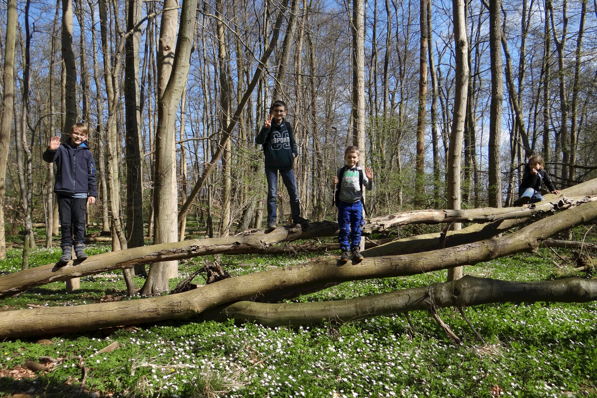 Auf Bäume klettern, nach Greifvogelhorsten Ausschau halten und den Frühling genießen