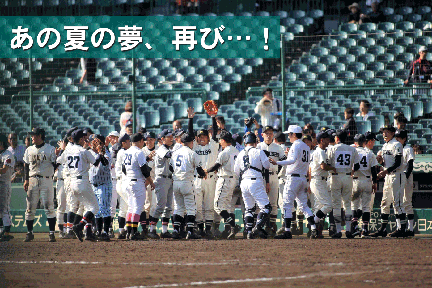 長野県高校野球ob Og連盟トップページ 長野県高校野球ob Og連盟