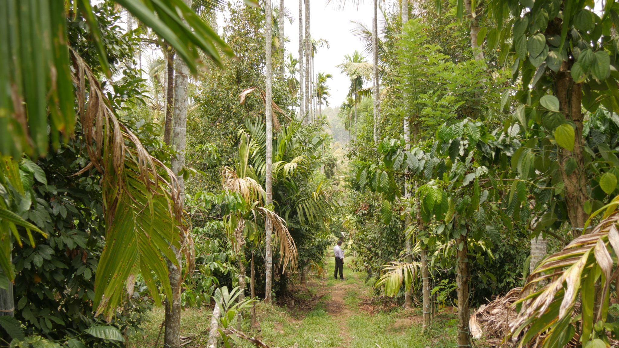 Mr. George auf einer der Farmen
