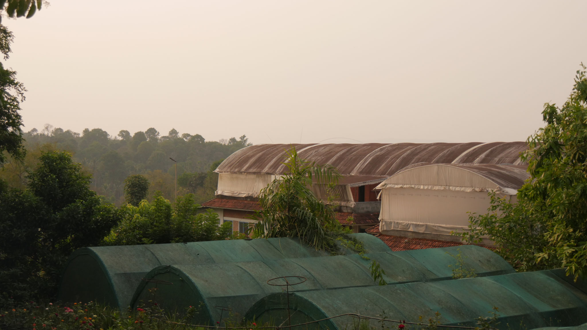 Abenddämmerung auf dem Vanamoolika-Gelände
