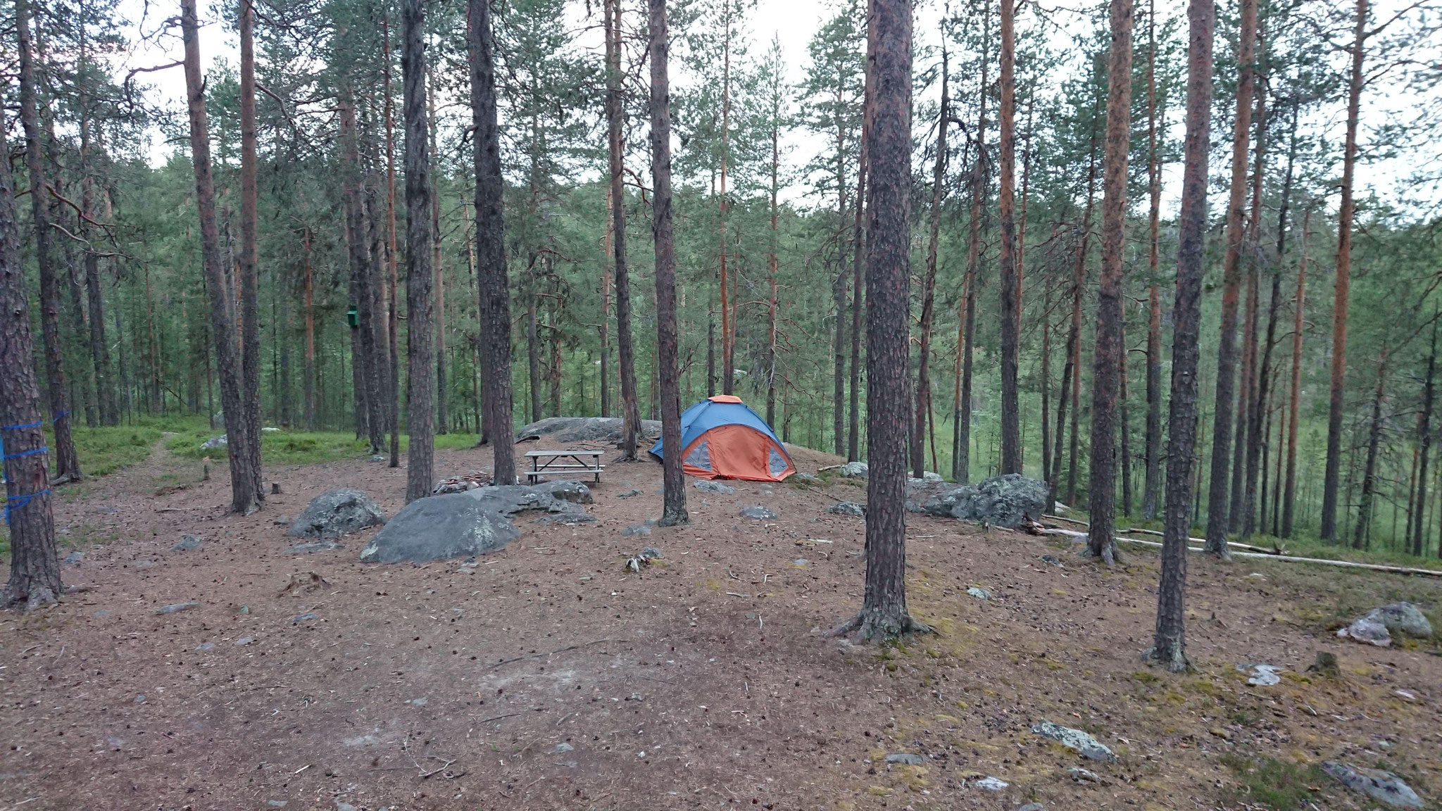 Allemansrätten - Unser Lager im Wald