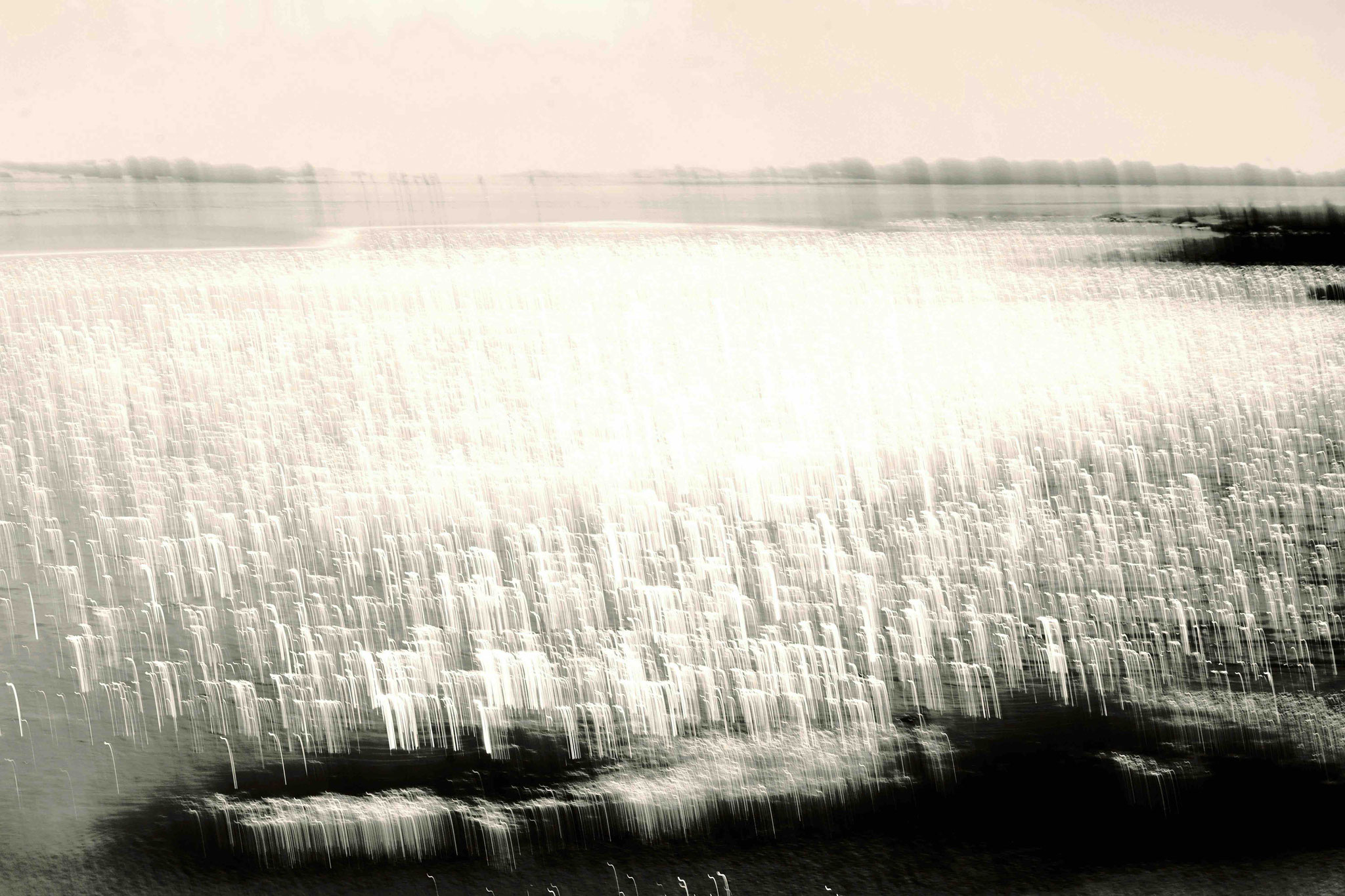 "Moving in Light 3"