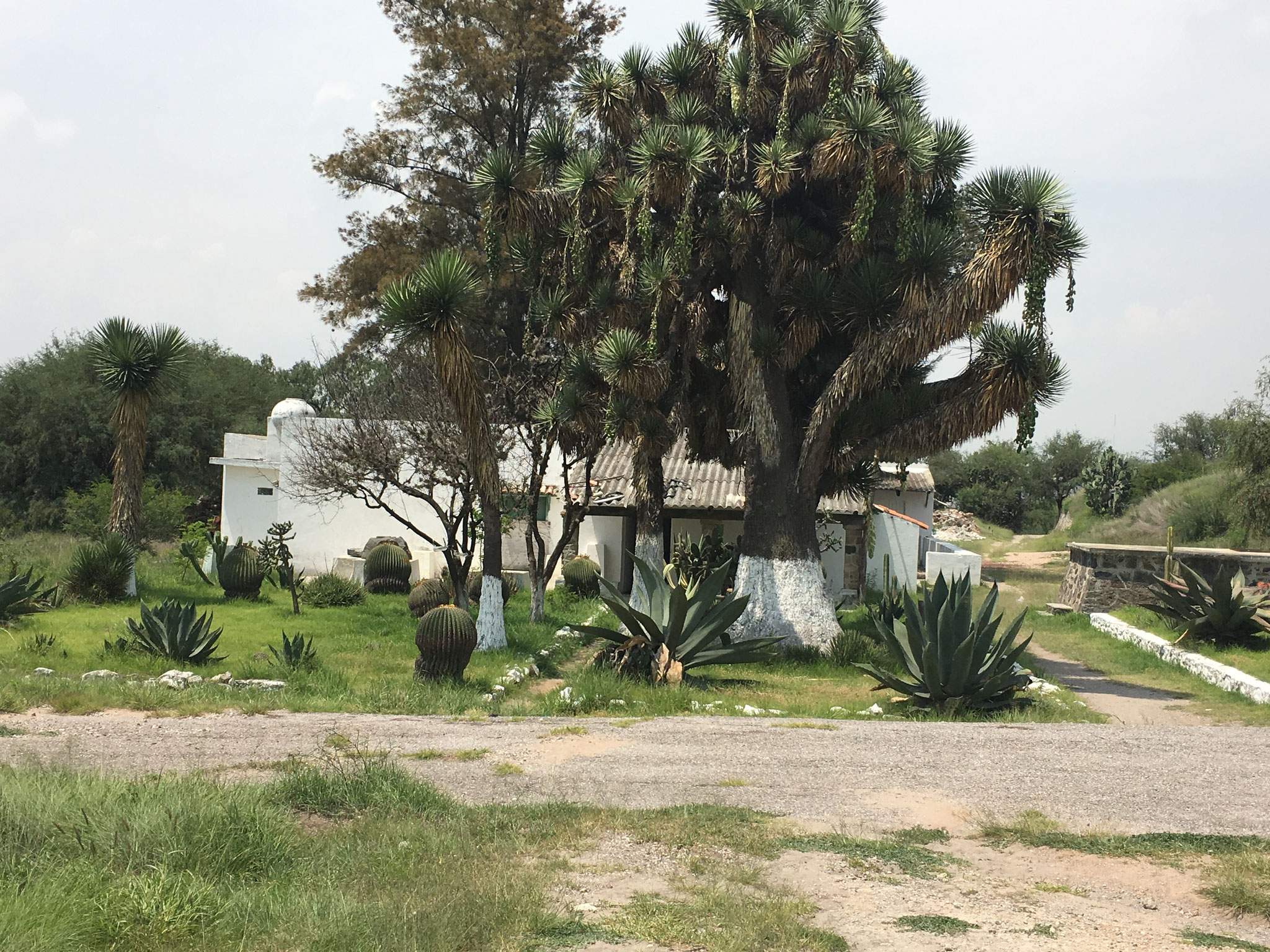 Transportes Escolares Alvarado en Tula Hidalgo