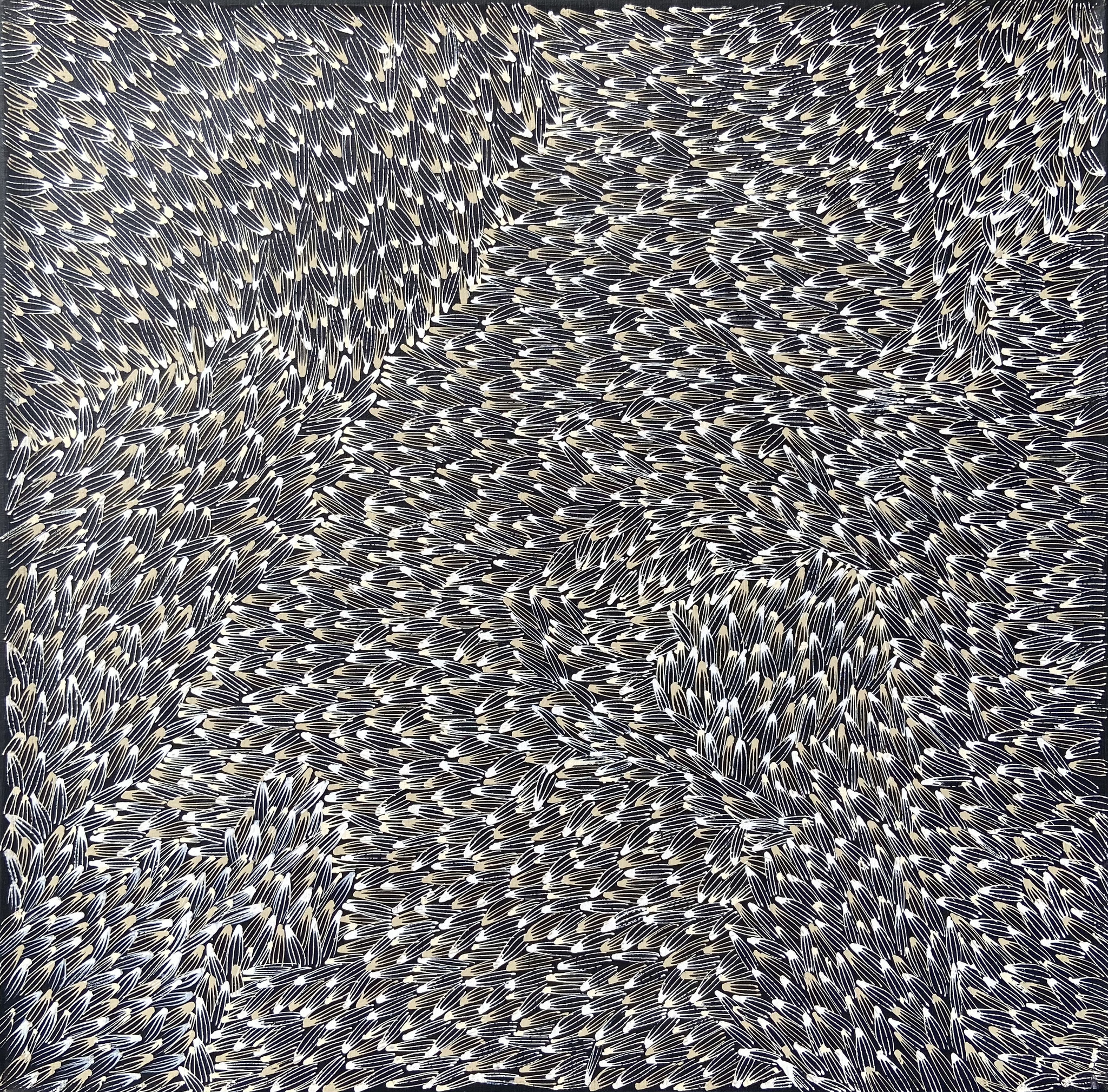 7アビー・ロイ60 x 60cmブッシュメディスン