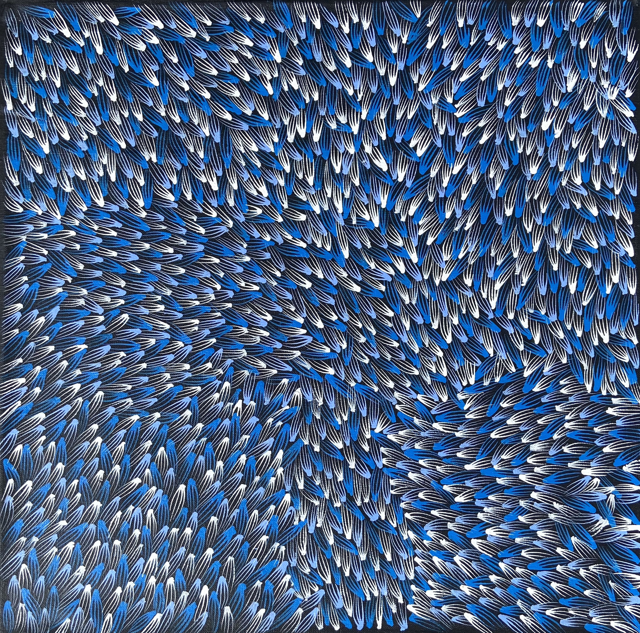 8アビー・ロイ40 x 40 cm ブッシュメディスン