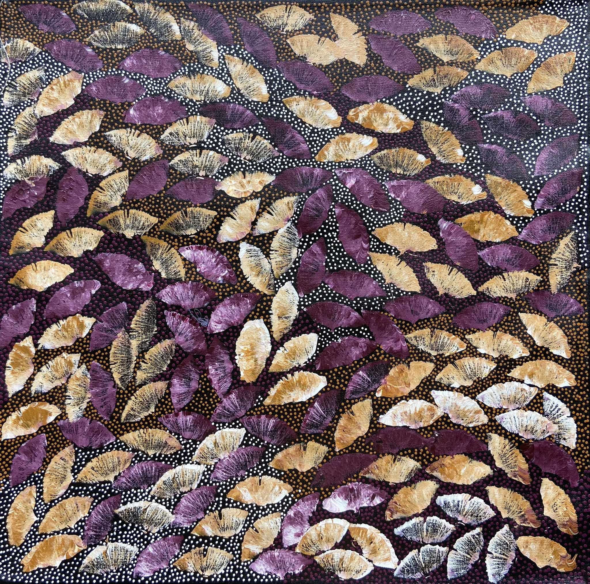 12セリーナ・ティース45 x 45cm ブッシュメディスン