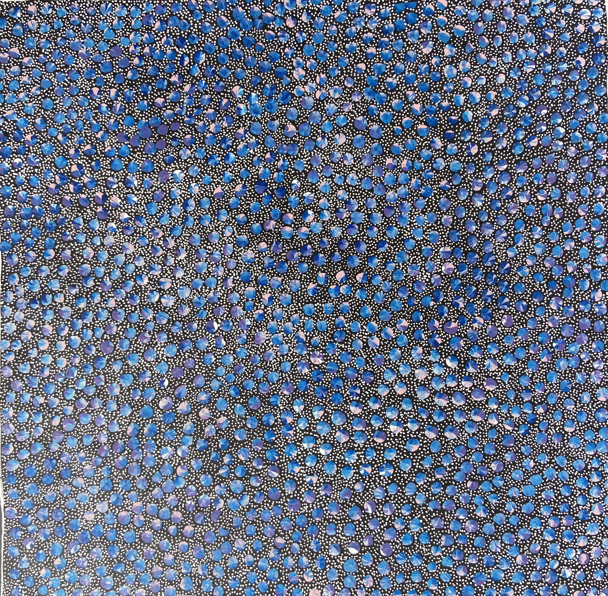 5エイリーン・バード60 x 60cm ブッシュプラム・ドリーミング