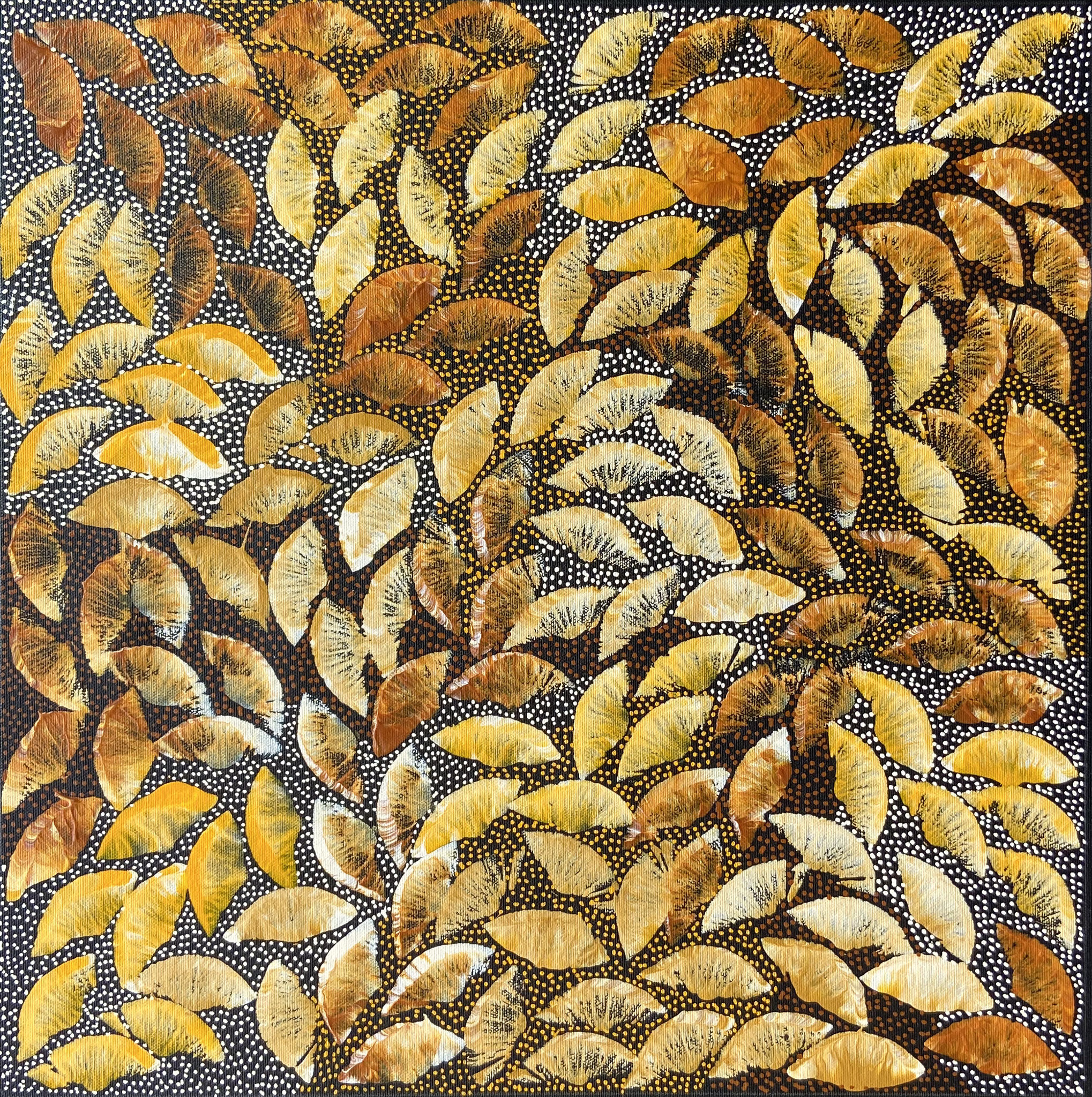 10セリーナ・ティース 45 x 45cmブッシュメディスン