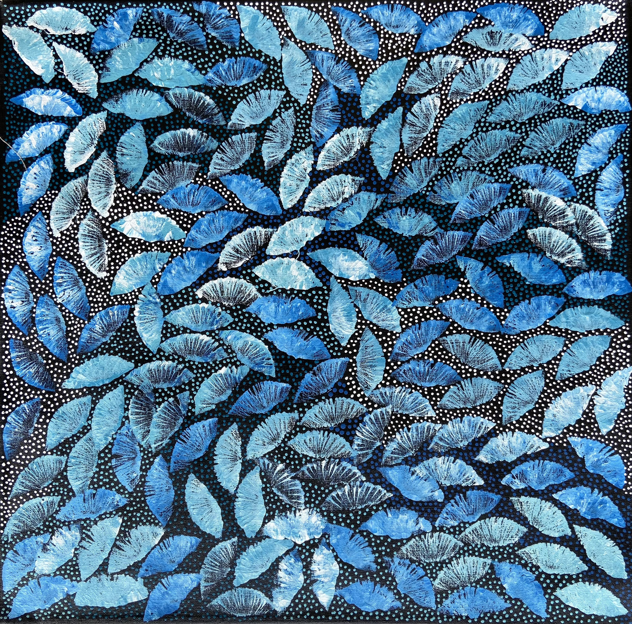 11セリーナ・ティース45 x 45cmブッシュメディスン