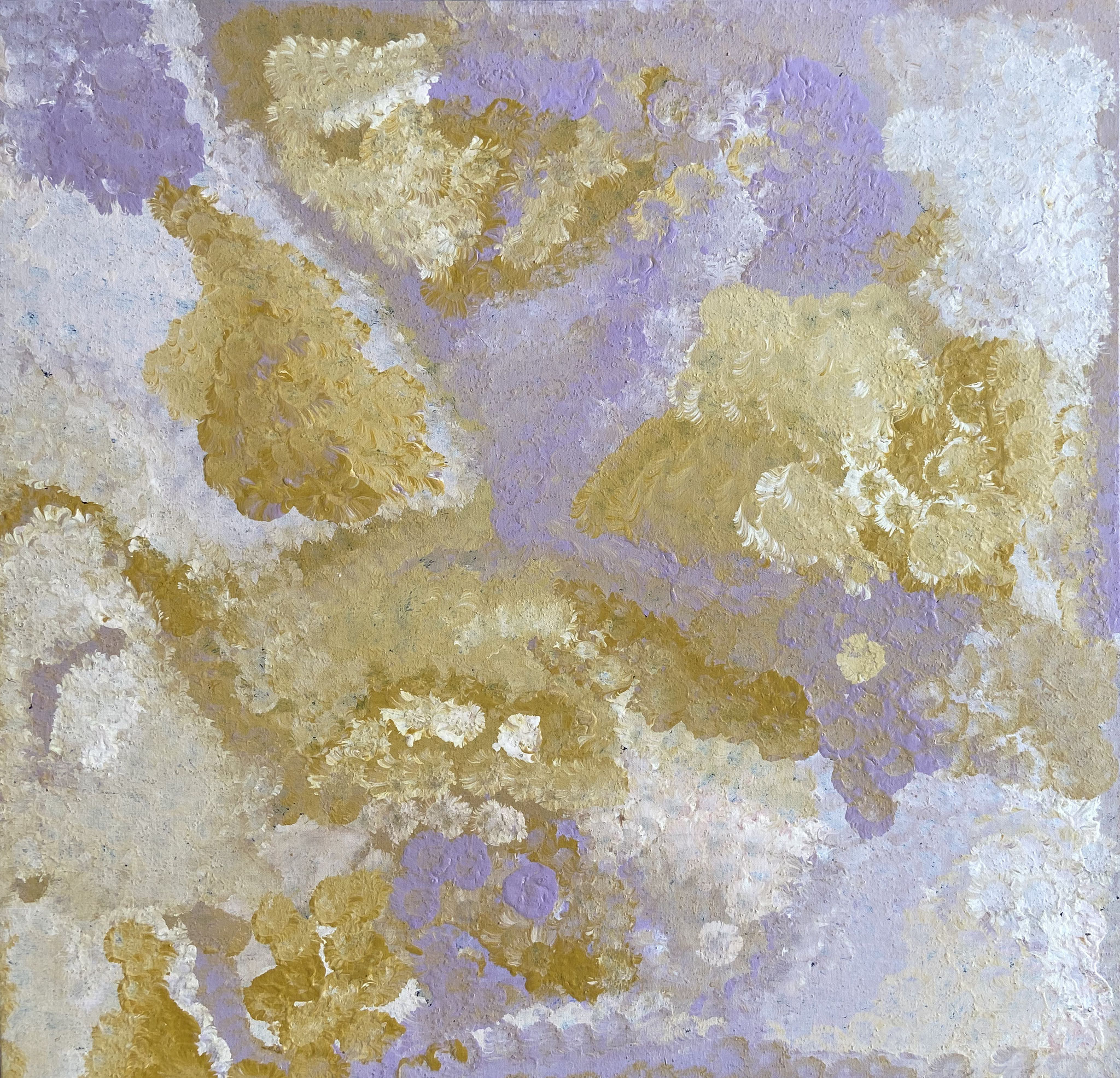 49エミリー・ウングワレー 88 x 90cm